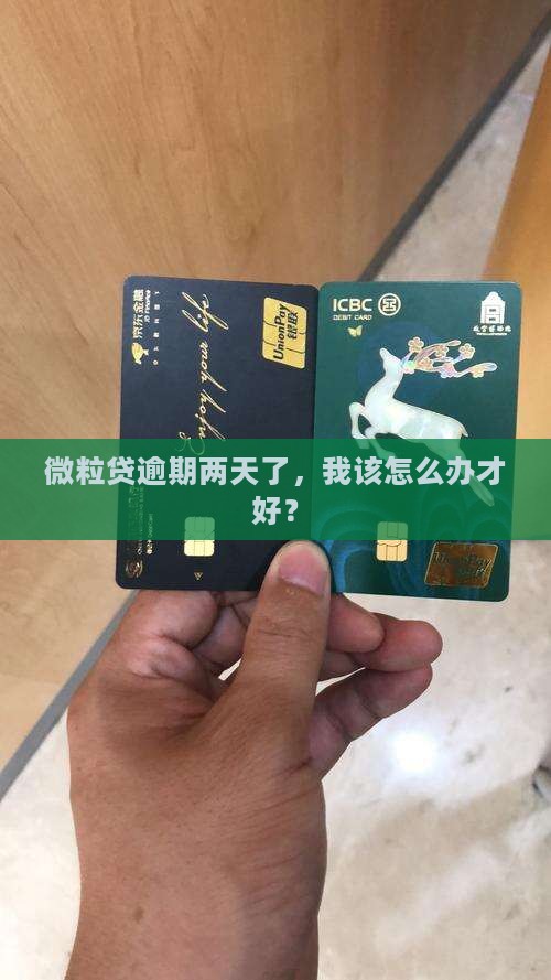 微粒贷逾期两天应该怎么处理 微粒贷逾期两天应该怎么处理