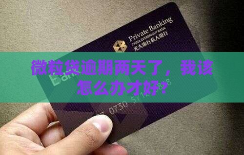 微粒贷逾期两天应该怎么处理 微粒贷逾期两天应该怎么处理