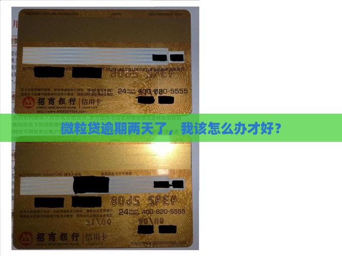 微粒贷逾期两天应该怎么处理 微粒贷逾期两天应该怎么处理