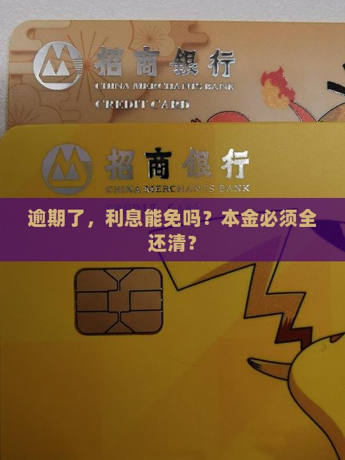 借贷逾期可以只还本金吗