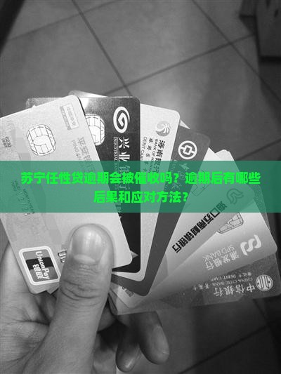 苏宁任性贷逾期会被催收吗