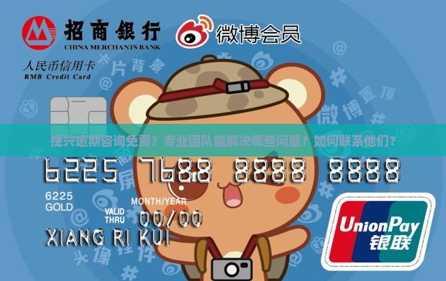 挽兴逾期咨询免费专业团队