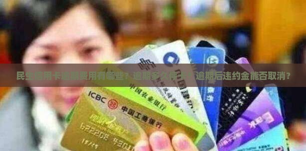 民生信用卡逾期费用有哪些