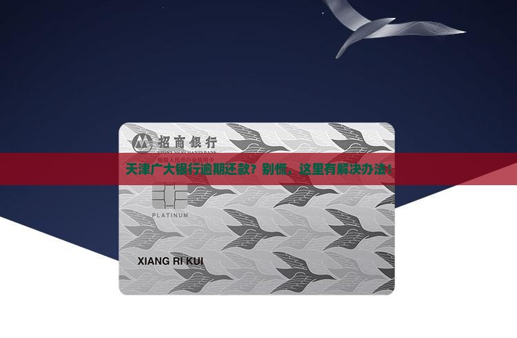天津广大银行逾期还款怎么办