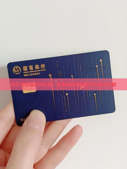 精彩贷停催如何处理 精彩贷停催如何处理