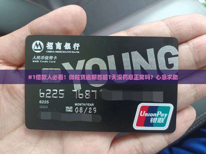 微粒贷逾期一天第一次没有罚息