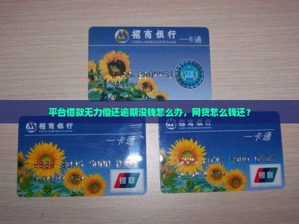 平台借款没钱还怎么办