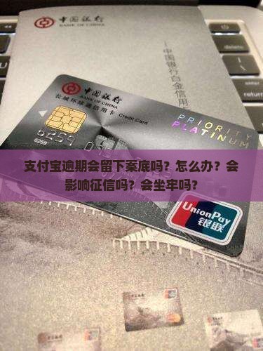 支付宝逾期会留下案底吗