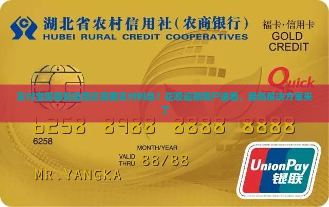 支付宝延期后是否还需要支付利息