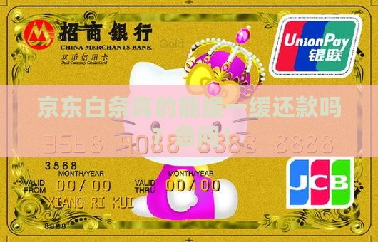 京东白条可以延迟还款嘛