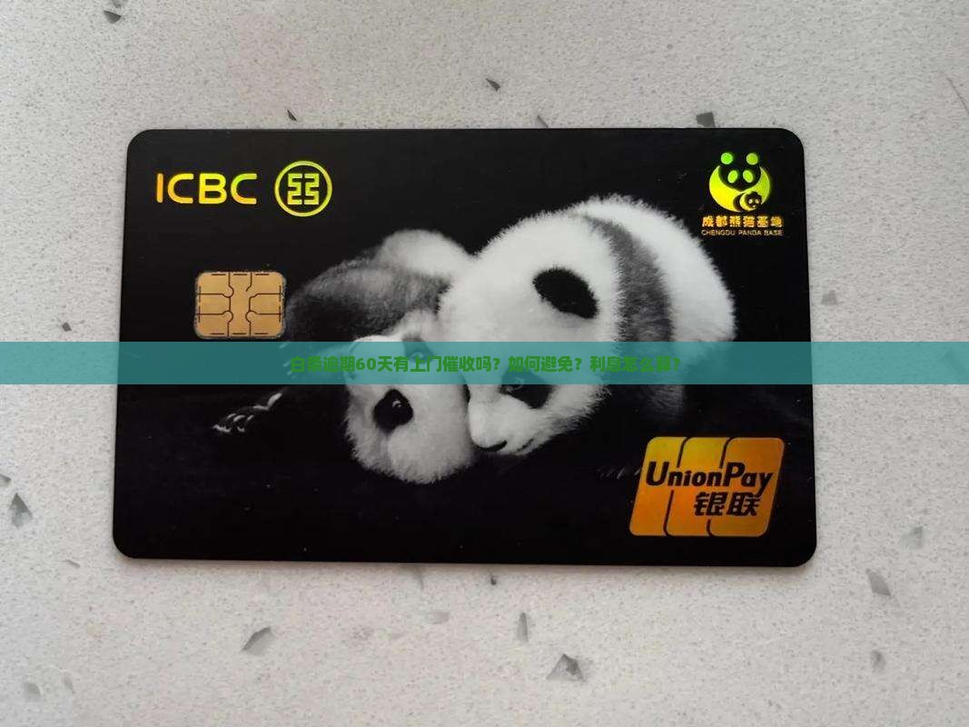 白条逾期60天有没有上门催收方式