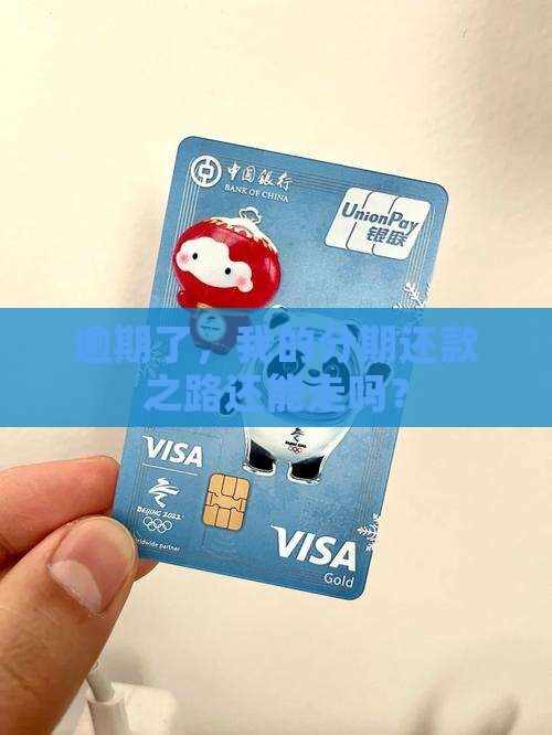 逾期了还能分期还款吗