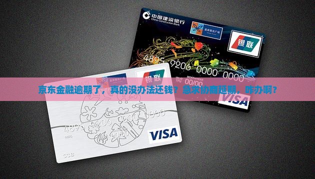 京东金融逾期了怎么协商延期还款呢怎么处理
