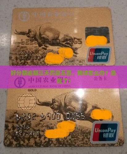 好分期逾期三天罚息五百如何解决