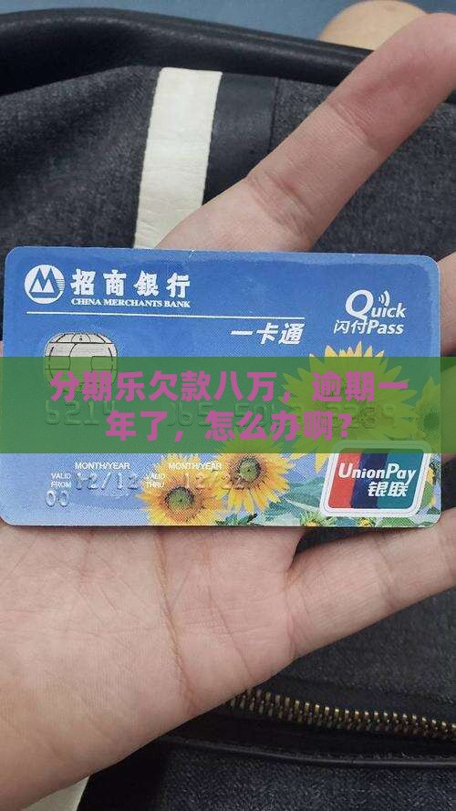 分期乐欠款八万逾期一年