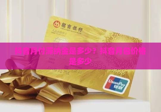抖音月付滞纳金是多少
