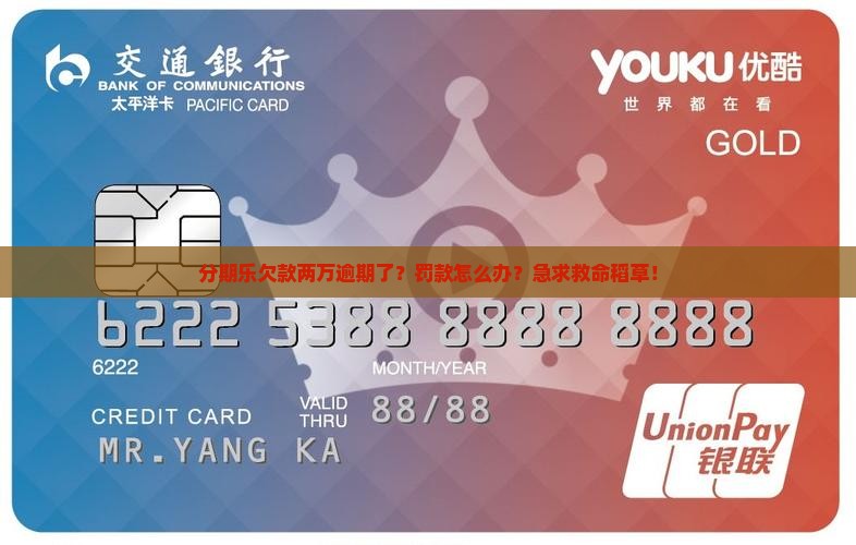 分期乐逾期两万怎么办应对分期乐逾期罚款