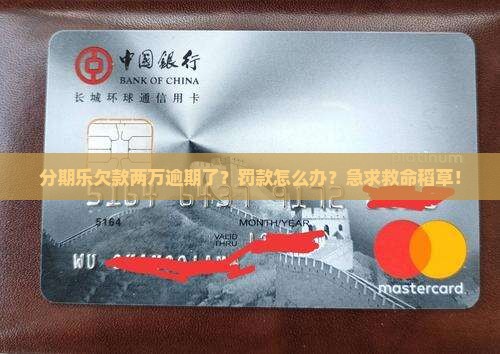 分期乐逾期两万怎么办应对分期乐逾期罚款