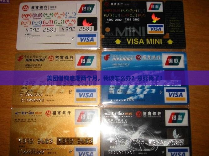 美团上面借钱逾期两个月会怎么样