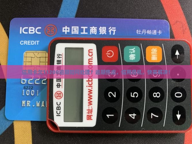 信用卡欠11200逾期如何处理