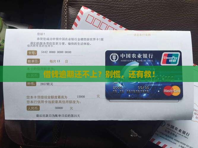 安心借逾期无力还款怎么办