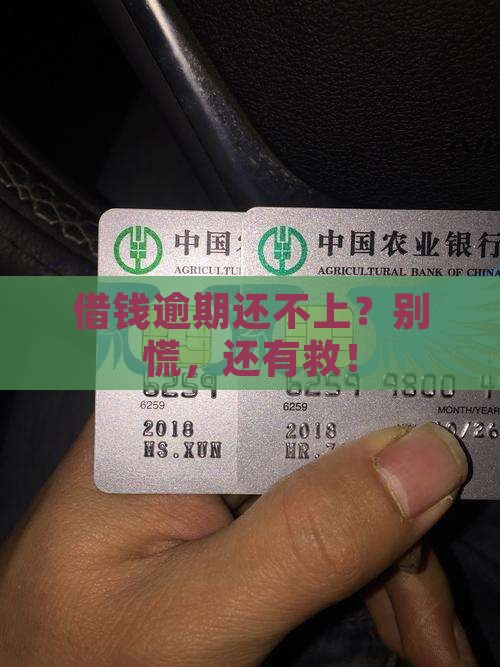 安心借逾期无力还款怎么办