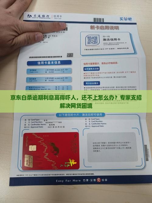 京东白条逾期利息高得吓人怎么办
