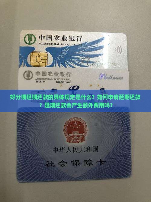 好分期延期还款规定