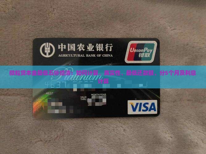 微粒贷本金最低五折结清
