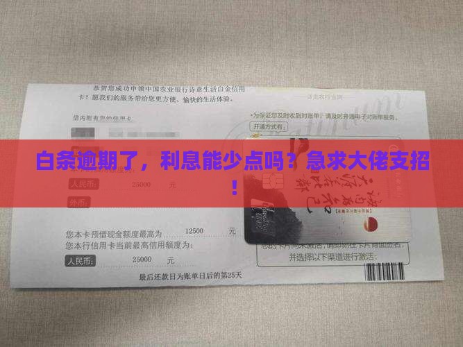 白条逾期如何减免利息