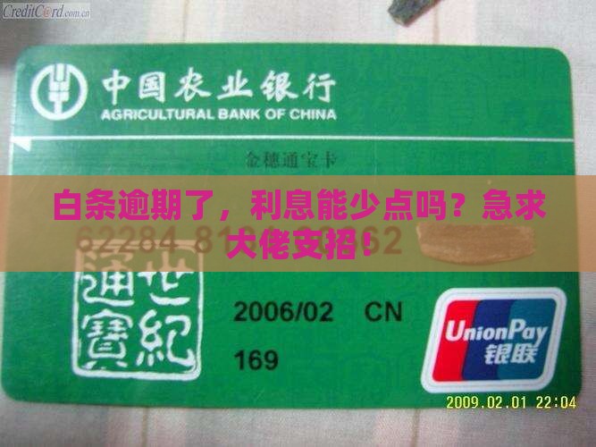 白条逾期如何减免利息