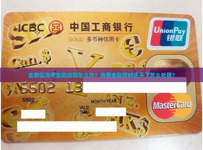 金美信消费金融暂时还不了怎么办