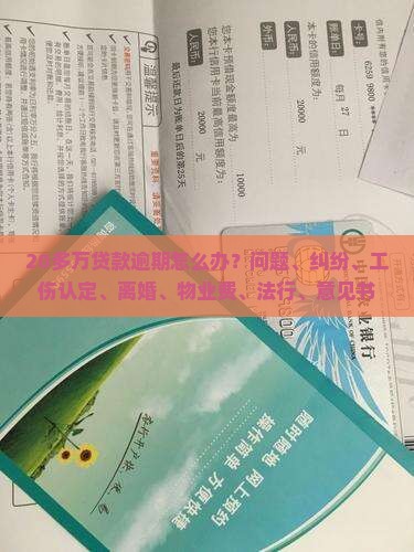 20多万贷款逾期怎么办
