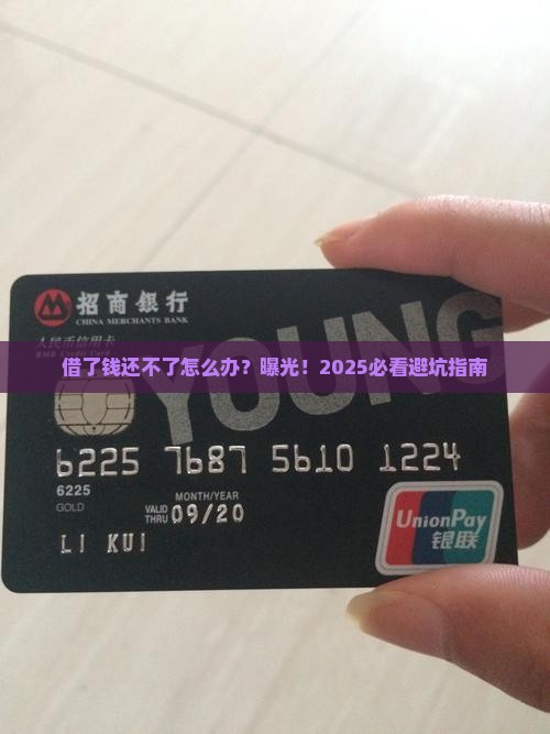 羊小咩借款后无力还款怎么办