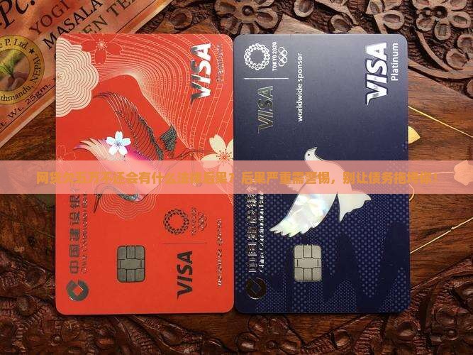 网贷欠五万不还会有什么法律后果