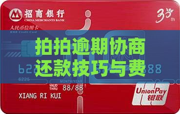 拍拍贷逾期费用协商还款技巧