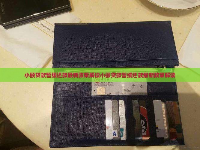 小额贷款暂缓还款