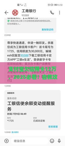 支付宝欠信用卡12万无力偿还怎么办