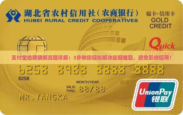支付宝逾期调解流程详解 支付宝逾期调解流程详解