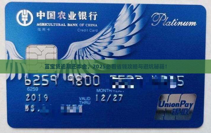 富宝贷逾期怎么还本金