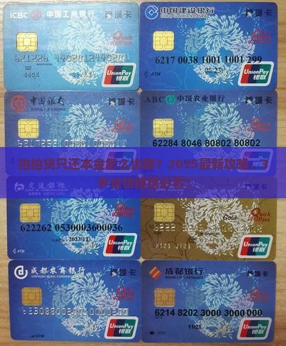 拍拍贷只还本金如何进行协商