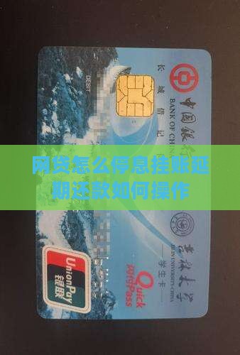 网贷怎么停息挂账延期还款如何操作