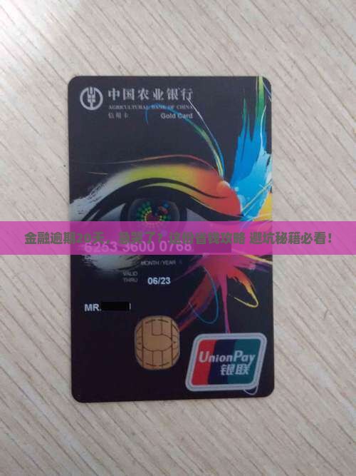网贷金融逾期20天了怎么办