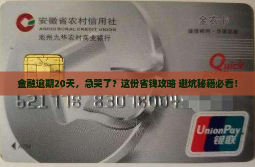 网贷金融逾期20天了怎么办
