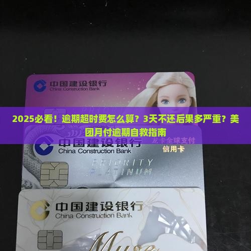 美团月付逾期超时费怎么办才好