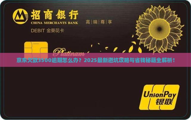 京东白条欠款3500逾期如何处理