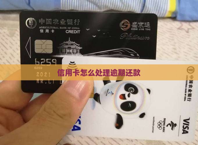 信用卡全面逾期还款方法