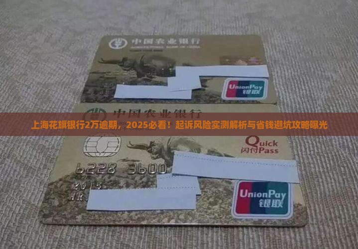 花旗银行2万逾期在上海会被起诉吗