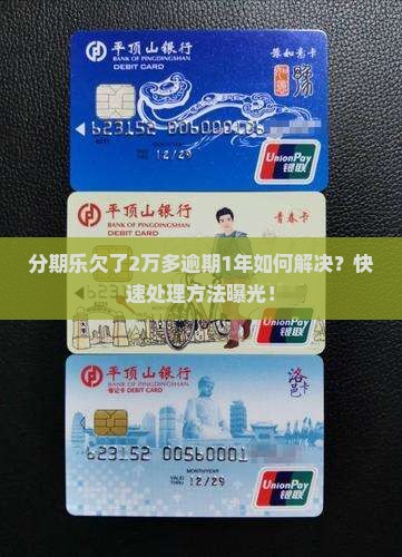 分期乐欠了2万多逾期1年如何解决