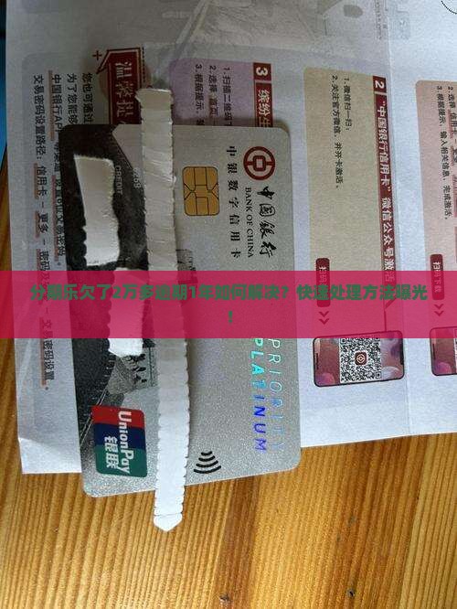 分期乐欠了2万多逾期1年如何解决